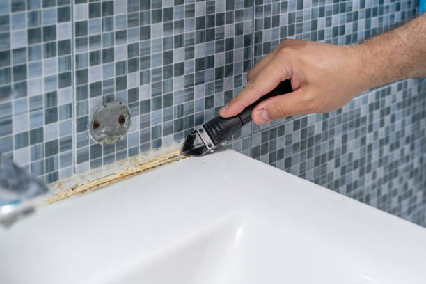 Best Health and Safety Mold Remediation in Belmont, NC