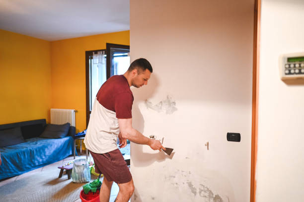 Belmont, NC Mold Remediation Company